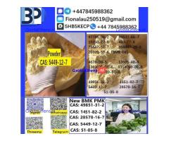 5449-12-7 BMK Glycidic Acid sodium salt With Best Price by First