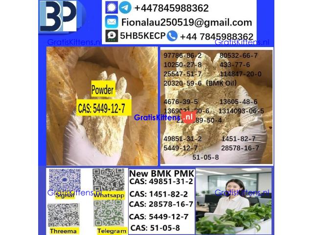5449-12-7 BMK Glycidic Acid sodium salt With Best Price by First