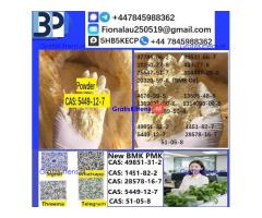 5449-12-7 BMK Glycidic Acid sodium salt With Best Price by First