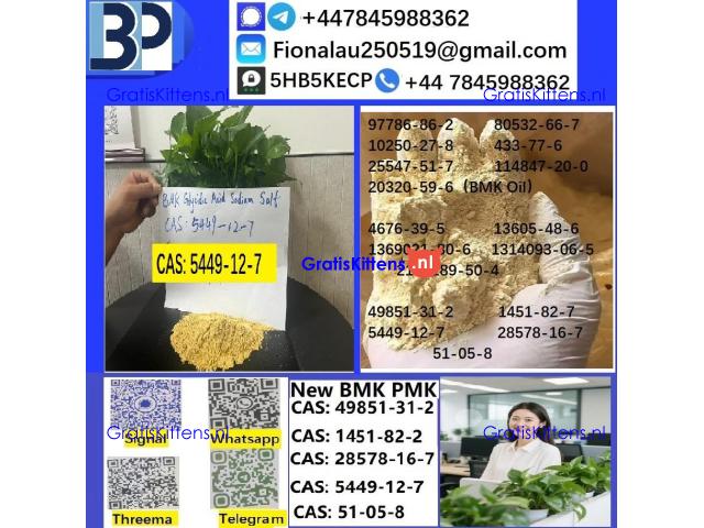 5449-12-7 BMK Glycidic Acid sodium salt With Best Price by First