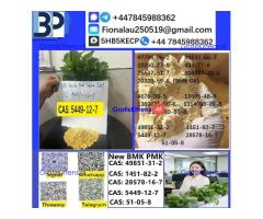5449-12-7 BMK Glycidic Acid sodium salt With Best Price by First
