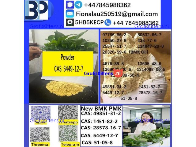 5449-12-7 BMK Glycidic Acid sodium salt With Best Price by First