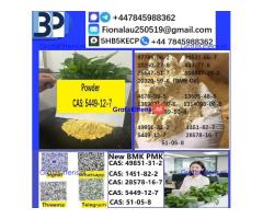 5449-12-7 BMK Glycidic Acid sodium salt With Best Price by First