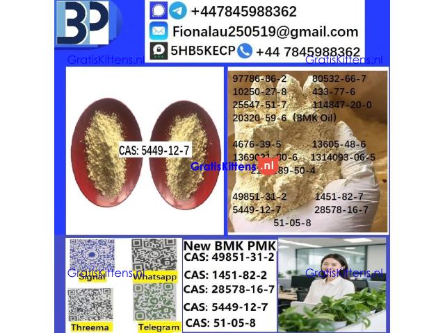 CAS 5449-12-7 BMK Glycidic Acid (sodium salt) With Best Price