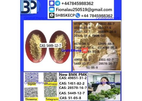 CAS 5449-12-7 BMK Glycidic Acid (sodium salt) With Best Price