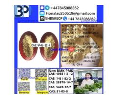 CAS 5449-12-7 BMK Glycidic Acid (sodium salt) With Best Price