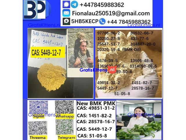 CAS 5449-12-7 BMK Glycidic Acid (sodium salt) With Best Price