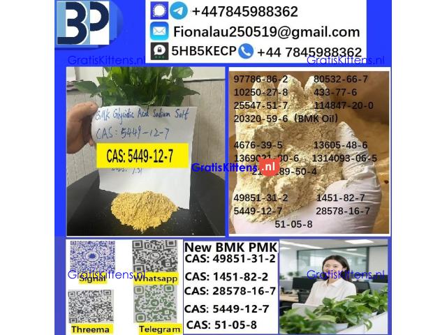 CAS 5449-12-7 BMK Glycidic Acid (sodium salt) With Best Price