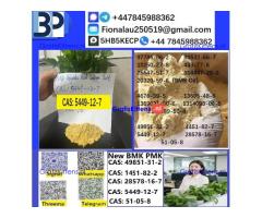CAS 5449-12-7 BMK Glycidic Acid (sodium salt) With Best Price