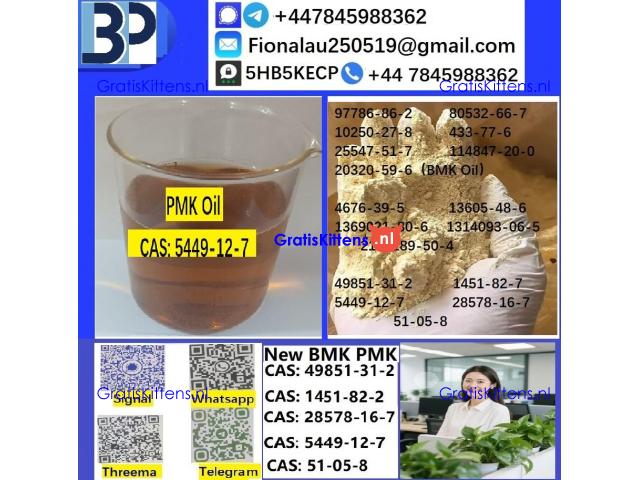 CAS 5449-12-7 BMK Glycidic Acid (sodium salt) With Best Price