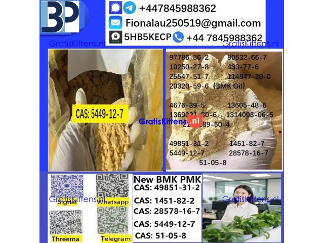 5449-12-7 BMK Glycidic Acid (sodium salt) With Best Price