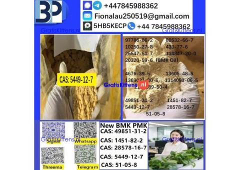 5449-12-7 BMK Glycidic Acid (sodium salt) With Best Price