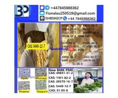 5449-12-7 BMK Glycidic Acid (sodium salt) With Best Price