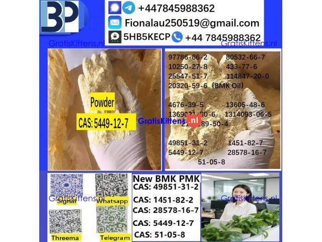 5449-12-7 BMK Glycidic Acid (sodium salt) With Best Price