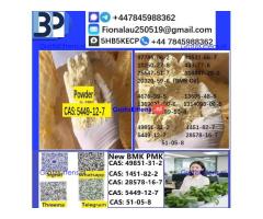 5449-12-7 BMK Glycidic Acid (sodium salt) With Best Price