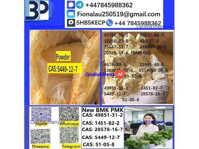 5449-12-7 BMK Glycidic Acid (sodium salt) With Best Price