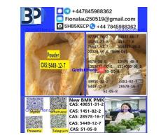 5449-12-7 BMK Glycidic Acid (sodium salt) With Best Price