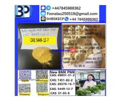 5449-12-7 BMK Glycidic Acid (sodium salt) With Best Price