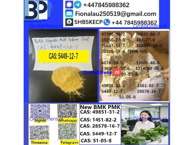 CAS 5449-12-7 BMK Glycidic Acid sodium salt With Best Price