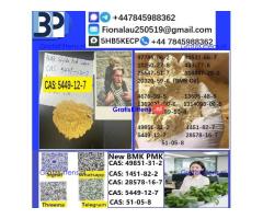 BMK oil acid cas: 5449-12-7 New BMK powder strong effect factory Large supply BMK