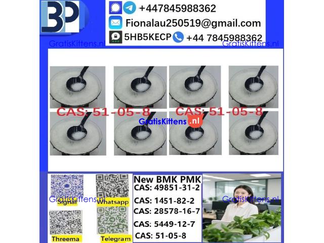 51-05-8 Cerata Procaine (Novocaine) Hcl Api Powder 51-05-8