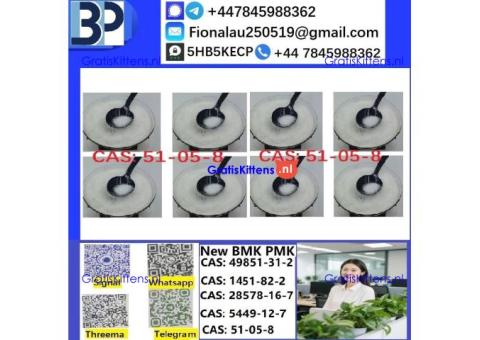 51-05-8 Cerata Procaine (Novocaine) Hcl Api Powder 51-05-8