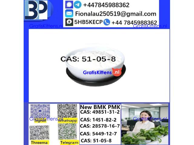 51-05-8 Cerata Procaine (Novocaine) Hcl Api Powder CAS51-05-8