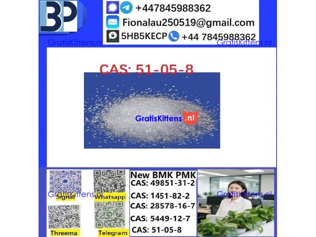 51-05-8 Cerata Procaine (Novocaine) Hcl Api Powder CAS51-05-8
