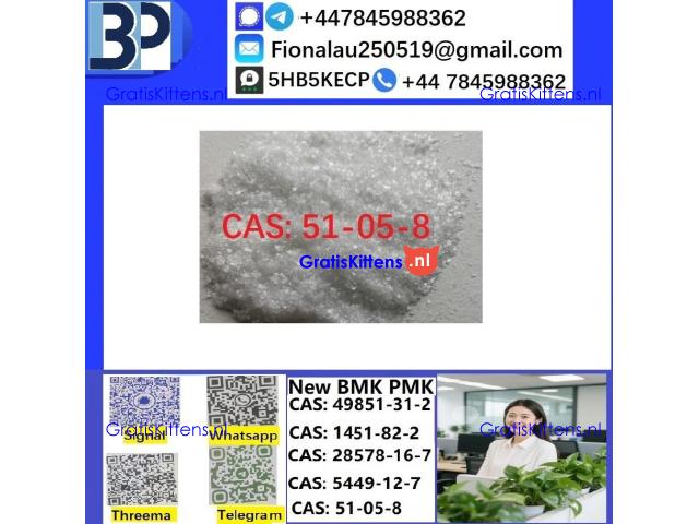 CAS51-05-8 Cerata Procaine (Novocaine) Hcl Api Powder 51-05-8