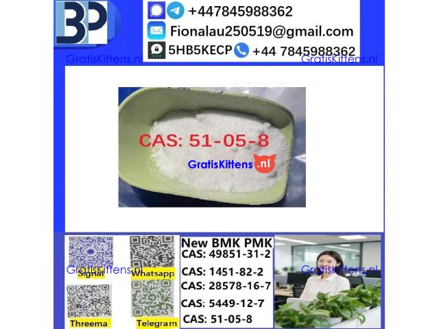 CAS51-05-8 Cerata Procaine (Novocaine) Hcl Api Powder 51-05-8