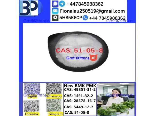 CAS51-05-8 Cerata Procaine (Novocaine) Hcl Api Powder 51-05-8