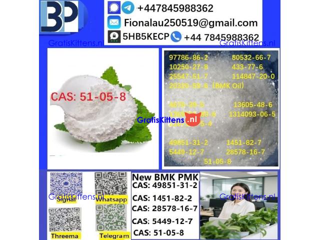 cas51-05-8 Cerata Procaine (Novocaine) Hcl Api Powder 51-05-8