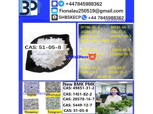 cas51-05-8 Cerata Procaine (Novocaine) Hcl Api Powder 51-05-8