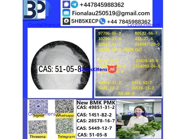 cas51-05-8 Cerata Procaine (Novocaine) Hcl Api Powder 51-05-8
