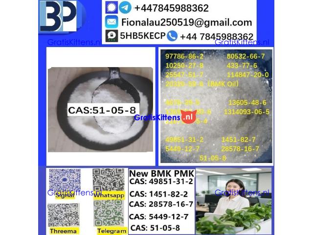 cas51-05-8 Cerata Procaine (Novocaine) Hcl Api Powder 51-05-8