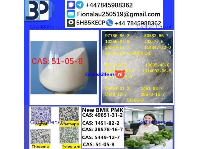 51-05-8 Cerata Procaine (Novocaine) Hcl Api Powder cas51-05-8