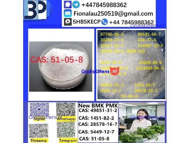 51-05-8 Cerata Procaine (Novocaine) Hcl Api Powder cas51-05-8