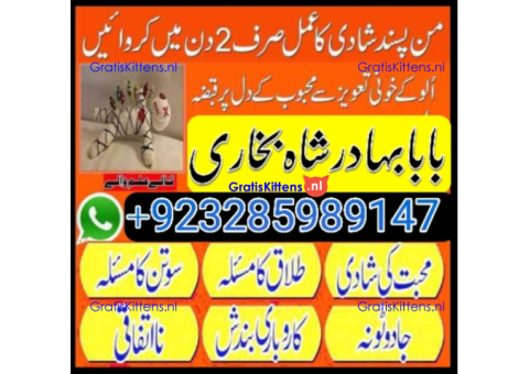 online amil baba islamabad amil baba black magic expert