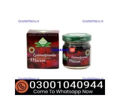 Themra Turkish Honey Epimedium Macun in Sialkot & 0300^1040944 % Buy Now