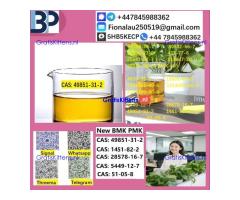 2025 Suppliers CAS 49851-31-2 2-Bromovalerophenone Hot Quality Liquid