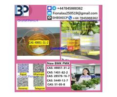 2025 Suppliers CAS 49851-31-2 2-Bromovalerophenone Hot Quality Liquid