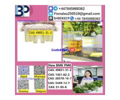 2025 Suppliers 49851-31-2 2-Bromovalerophenone Hot Quality Liquid