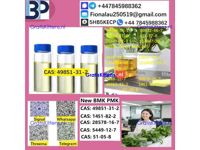49851-31-2 2-Bromovalerophenone Hot Quality Liquid