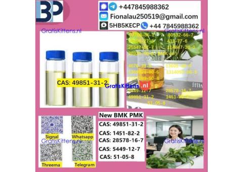 49851-31-2 2-Bromovalerophenone Hot Quality Liquid