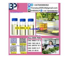 49851-31-2 2-Bromovalerophenone Hot Quality Liquid