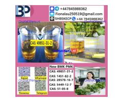 2-BROMO-1-PHENYL-PENTAN-1-ONE 49851-31-2 in stock