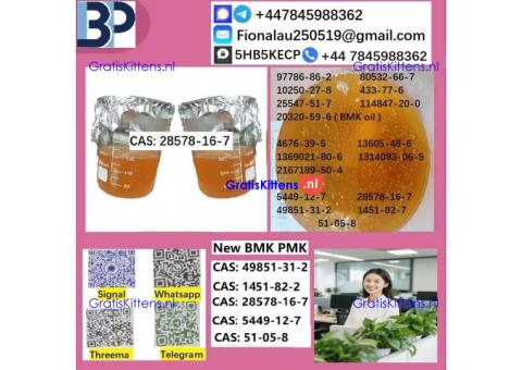 28578-16-7 PMK ethyl glycidate Oil/Powder High Purity Source Factory Safe Delivery