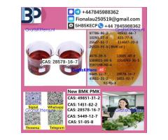 28578-16-7 PMK ethyl glycidate Oil/Powder High Purity Source Factory Safe Delivery