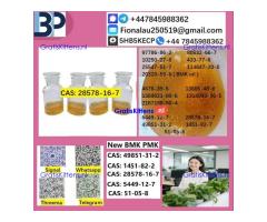 28578-16-7 PMK ethyl glycidate Oil/Powder High Purity Source Factory Safe Delivery
