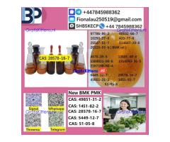 28578-16-7 PMK ethyl glycidate Oil/Powder High Purity Source Factory Safe Delivery
